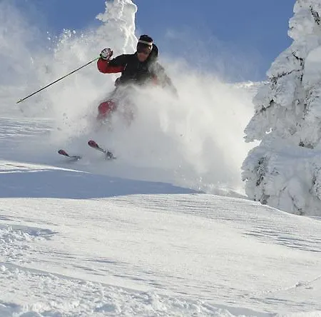 Apartament Gaestehaus Helga *