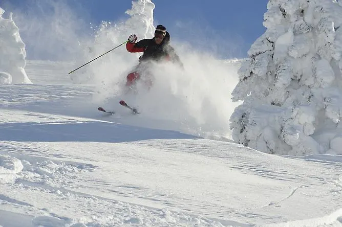 Apartamento Gaestehaus Helga *